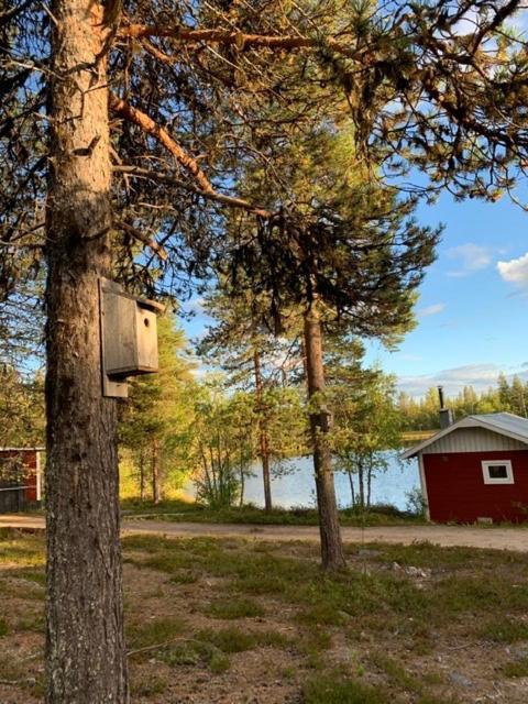 Off-Grid Cabin In Nattavaara Lapland Екстер'єр фото