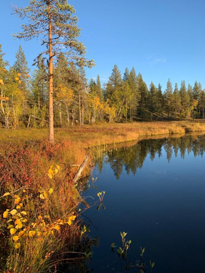 Off-Grid Cabin In Nattavaara Lapland Екстер'єр фото