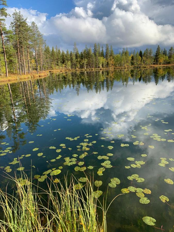 Off-Grid Cabin In Nattavaara Lapland Екстер'єр фото