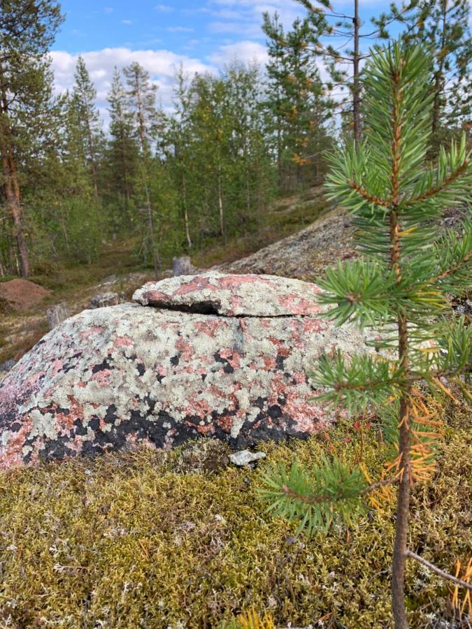 Off-Grid Cabin In Nattavaara Lapland Екстер'єр фото