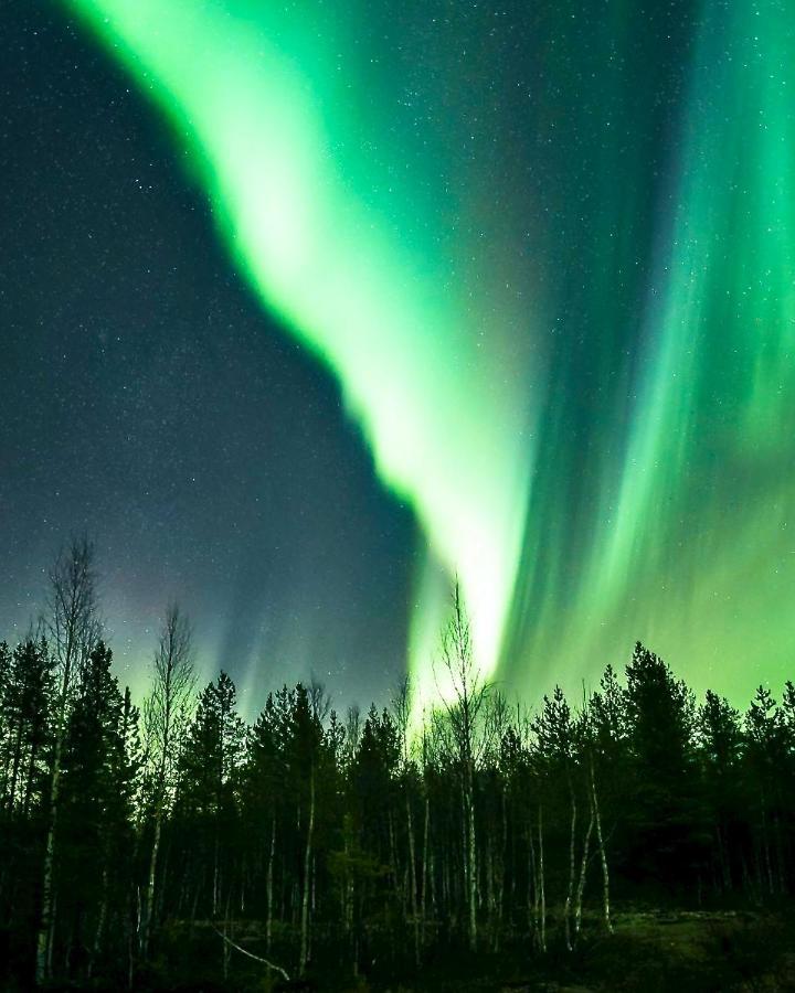 Off-Grid Cabin In Nattavaara Lapland Екстер'єр фото