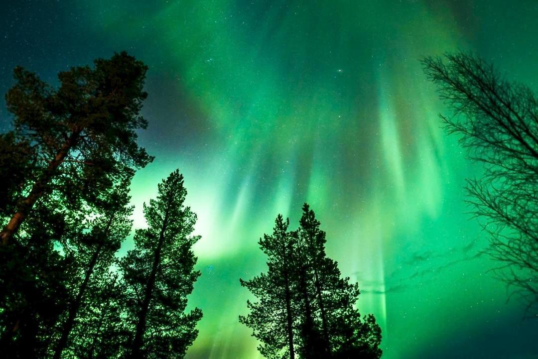 Off-Grid Cabin In Nattavaara Lapland Екстер'єр фото